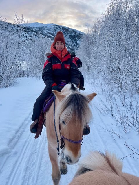 Horse riding and dining experience - The wilderness shelter dinner stop: where the evening warms up