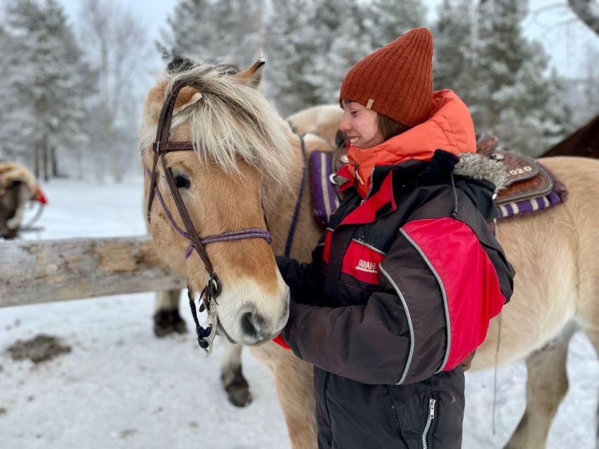 Horse riding and dining experience - Guides and group size: why the small limit changes the mood