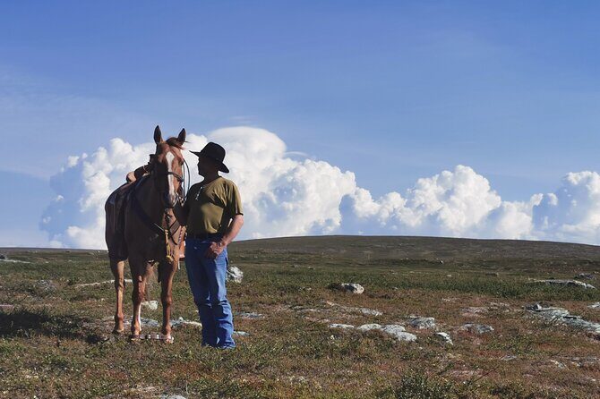 Horseback riding - Choosing Your Horse and Grooming: Why That First Hour Matters