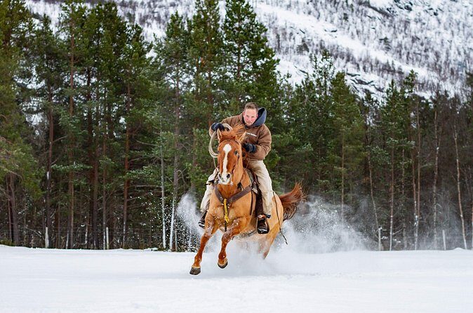Horseback riding - Price in Context: Is $279.96 Worth It?