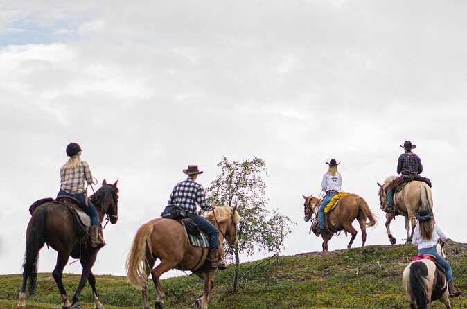 Horseback riding - Getting to Flatmoen Nature and Making It Easy on Yourself