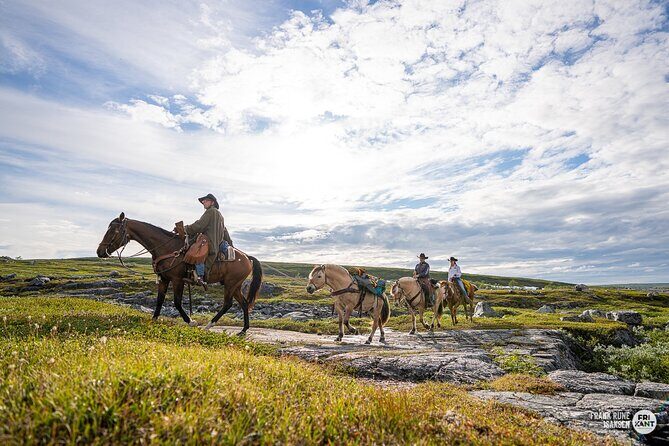 Horseback riding - Helmets, Safety, and Controlling Your Speed Through the Woods