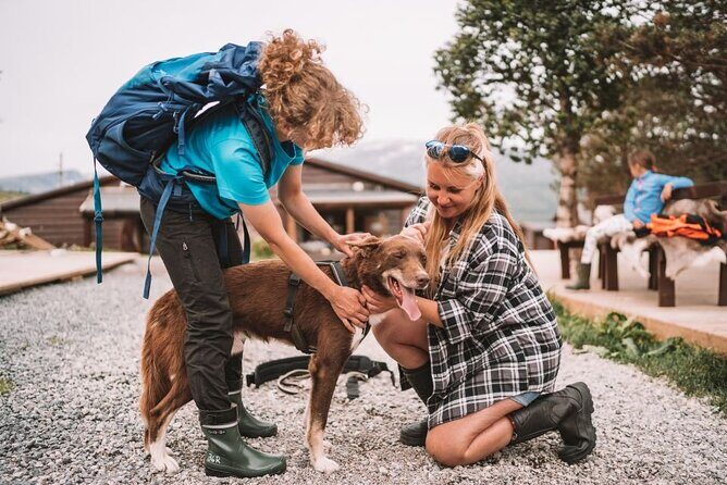 Husky Hike and Puppy Visit with Lunch - The Adult Dog Area: How the Dogs Are Cared For