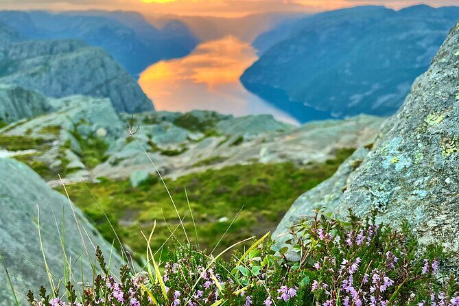 Iconic Preikestolen Hike with Expert Guide - Preikestolen Fjellstue: steep start, rarely used forest trails, real Norway sounds