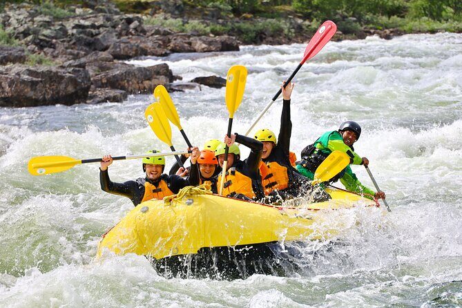 Intermediate Difficulty Level Rafting Experience in Dagali - The last rapid choice: aim for the Tiger rapid