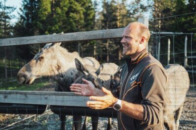 Kristiansand: Guided Bus Tour and Moose Park Experience - What to bring, what not to do, and how to stay comfortable