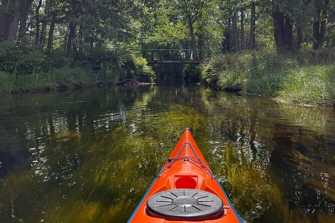 Kristiansand: Kayaking River Tour Adventure - Ending at Kjøita 10: Why the Finish Near Town Is a Big Deal