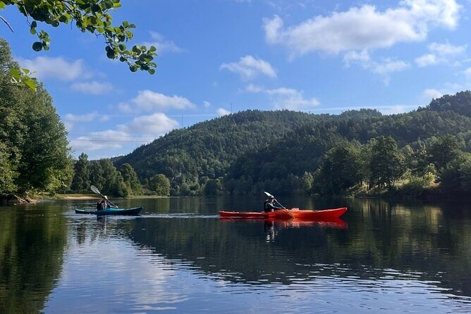 Kristiansand: Kayaking River Tour Adventure - Who This Kayaking Tour Fits Best (And Who Might Think Twice)