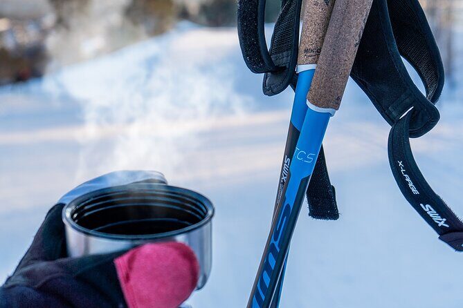Learn Nordic Skiing - Private Class with Professional Instructor - Who Should Book This Nordic Skiing Lesson