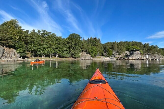 Lillesand Coastal Kayak Tour - Local Nature & Adventure - Key Highlights You’ll Feel Fast