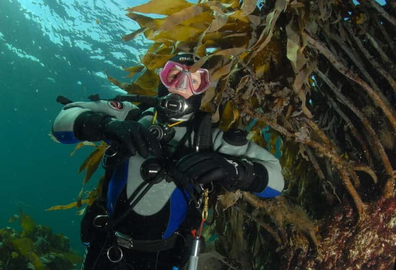 Lofoten: First Time Scuba Diving Experience - How the instruction works with a 1:2-4 group
