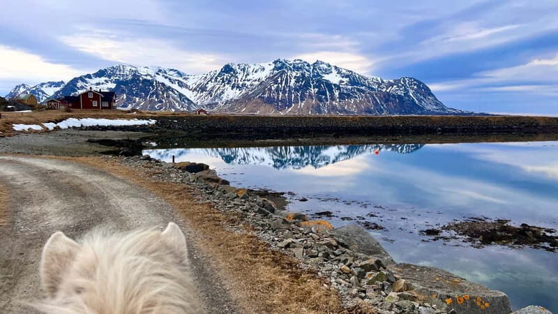 Lofoten: Guided Horse Riding Tour Over Hov and Hovsund - Quick hits on Hov and Hovsund horseback riding