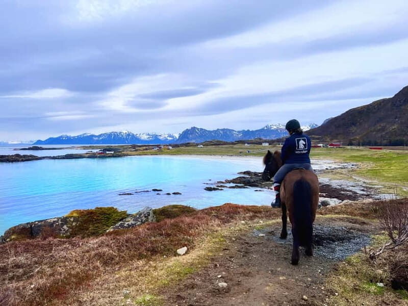 Lofoten: Guided Horse Riding Tour Over Hov and Hovsund - Entering the Hov Horse Farm routine (what happens before the ride)