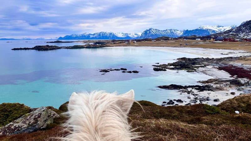 Lofoten: Guided Horse Riding Tour Over Hov and Hovsund - Hovsund fishing village: dried-fish sights while you’re already in motion