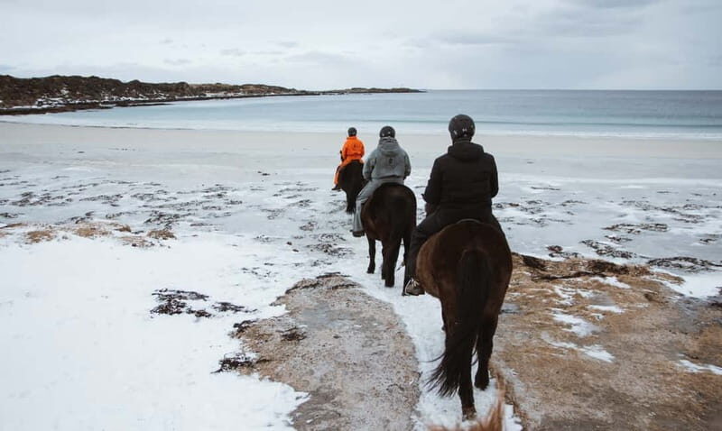 Lofoten: Guided Horse Riding Tour Over Hov and Hovsund - Viking-age remnants along the route: small traces, big context