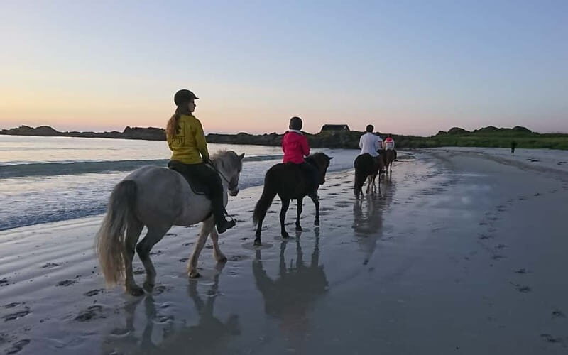 Lofoten: Guided Horse Riding Tour Over Hov and Hovsund - English guidance: how the tour stays understandable and fun