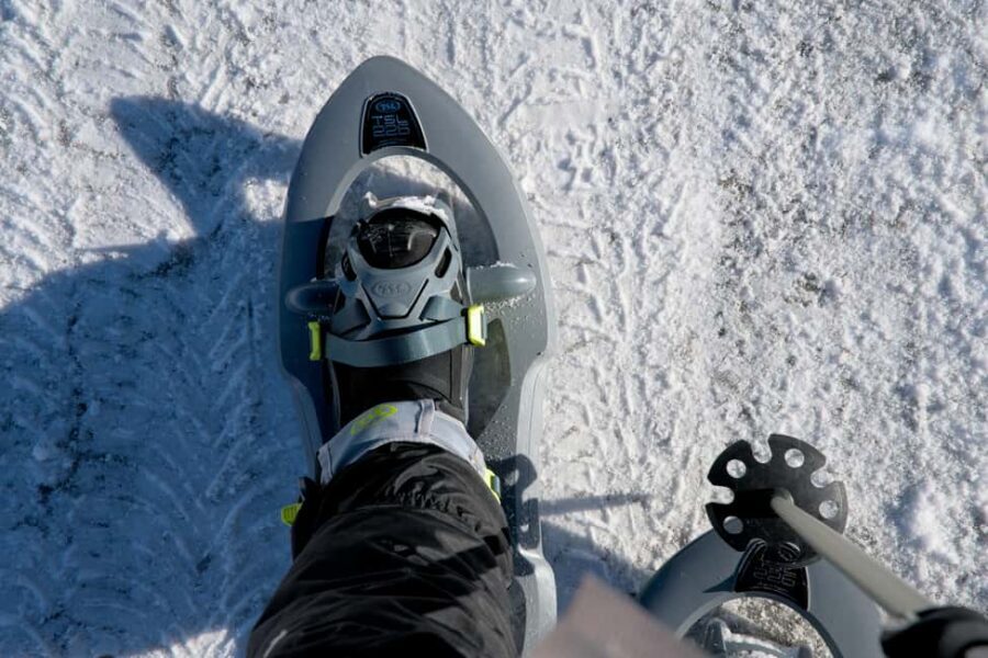 Lofoten: Guided Mountain Snowshoe Adventure - The core idea: guided mountain snowshoeing with photo help