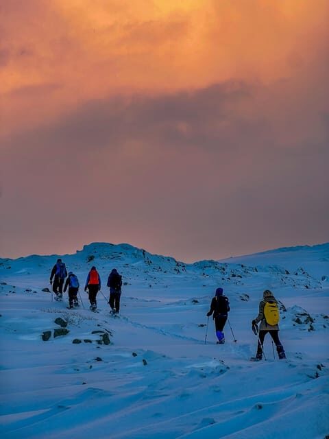Lofoten: Half Day Snowshoe Tour - Meeting Up in Eggum: Gear Fit, Rules, and Fast Confidence
