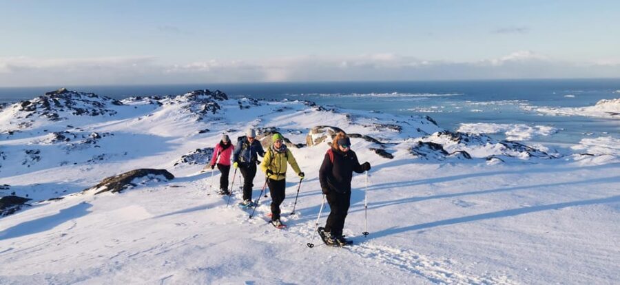 Lofoten: Half Day Snowshoe Tour - The Value Equation: What $103 Covers (and What You’ll Pay Separately)