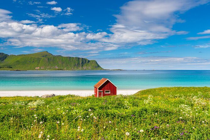 Lofoten Highlights Photo Tour - Reine, Hamnøy & Å - Key takeaways before you book