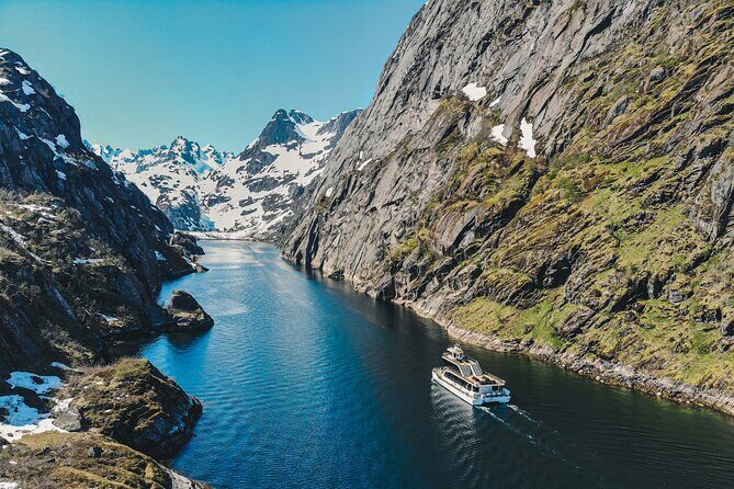 Lofoten Island: Silent Trollfjord Cruise from Svolvær - Key highlights you’ll actually care about