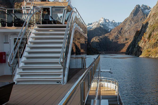 Lofoten Island: Silent Trollfjord Cruise from Svolvær - Trollfjord spotlight: white-tailed eagles overhead and the underwater drone
