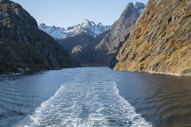 Lofoten Island: Silent Trollfjord Cruise from Svolvær - Guides and narration: what you’ll get, plus a real planning tip