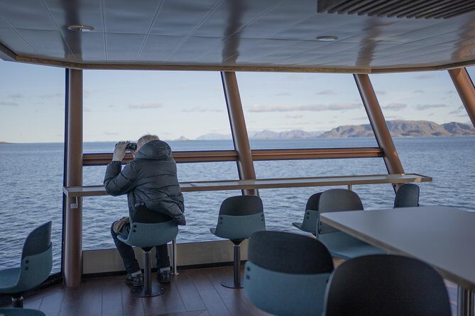 Lofoten Island: Silent Trollfjord Cruise from Svolvær - Weather, crowds, and wildlife spotting: setting expectations the smart way