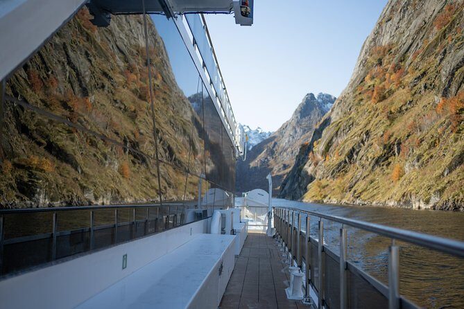 Lofoten Island: Silent Trollfjord Cruise from Svolvær - Price and value: is $144.34 worth it for 3 hours?