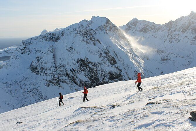 Lofoten Islands: Guided Snowshoeing Tour - Uphill version - The Climb and the Views: Powder Snow, Frozen Water, and a 560 m Goal
