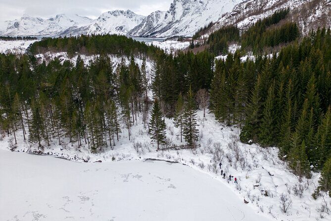 Lofoten Islands: Guided Snowshoeing Tour - Uphill version - How Fitness and Timing Change Your Experience