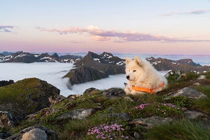 Lofoten Islands: Hiking Into the Wilderness - Stop 1: Kleppstadheia mountain peak and what to expect up top
