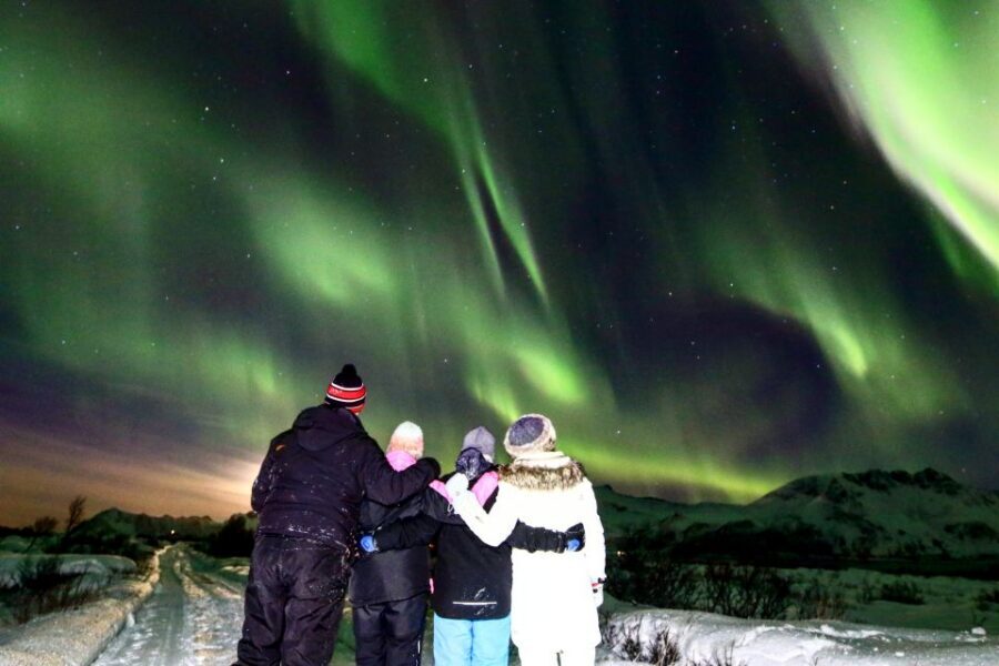 Lofoten: Northern Lights Tour with Photographer - When the Lights Show Up: A Calm Moment in a Cold Sky