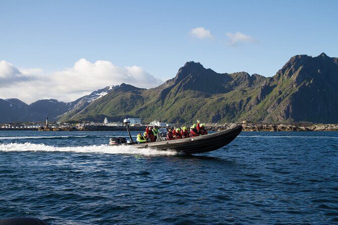 Lofoten RIB Sea Eagle Safari and Trollfjord Cruise - Key Things to Know Before You Go