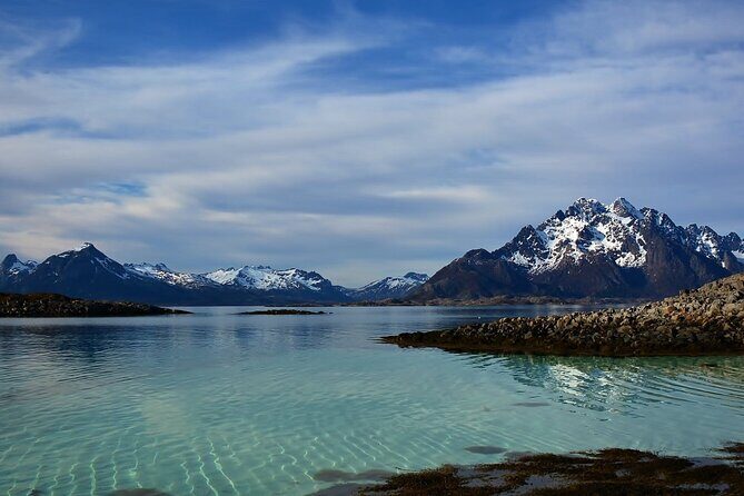 Lofoten RIB Sea Eagle Safari and Trollfjord Cruise - Price and Value: What $128.94 Buys in the Real World