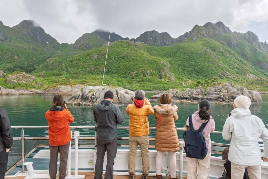 Lofoten: Sea Eagle Sunset Cruise - Who should book this sea eagle cruise?