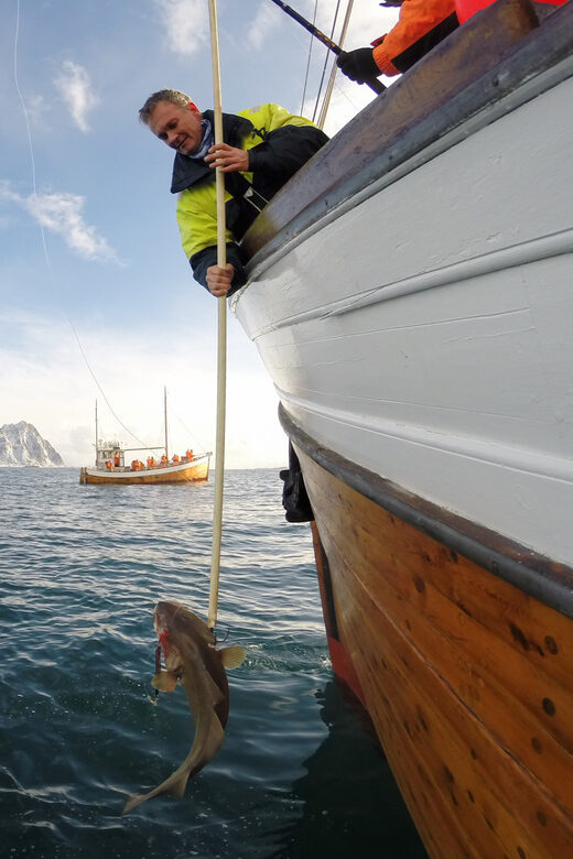 Lofoten: Traditional Fishing Trip - Lofoten line-wheel fishing on MS Symra: what makes it feel traditional