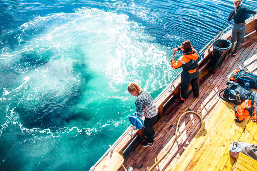 Lofoten: Traditional Fishing Trip - Species you might catch in Lofoten—and why season matters