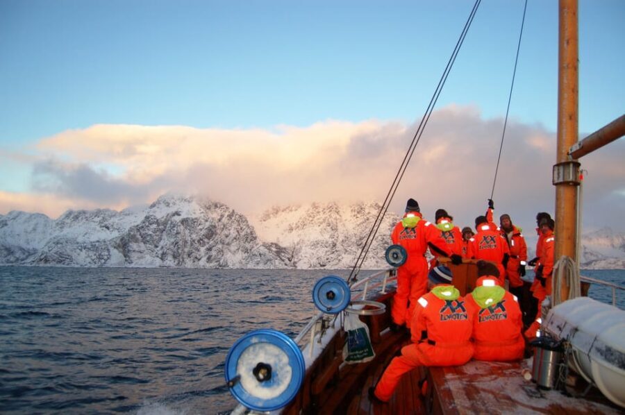 Lofoten: Traditional Fishing Trip - Filleting on board: the practical skill you’ll actually use back home