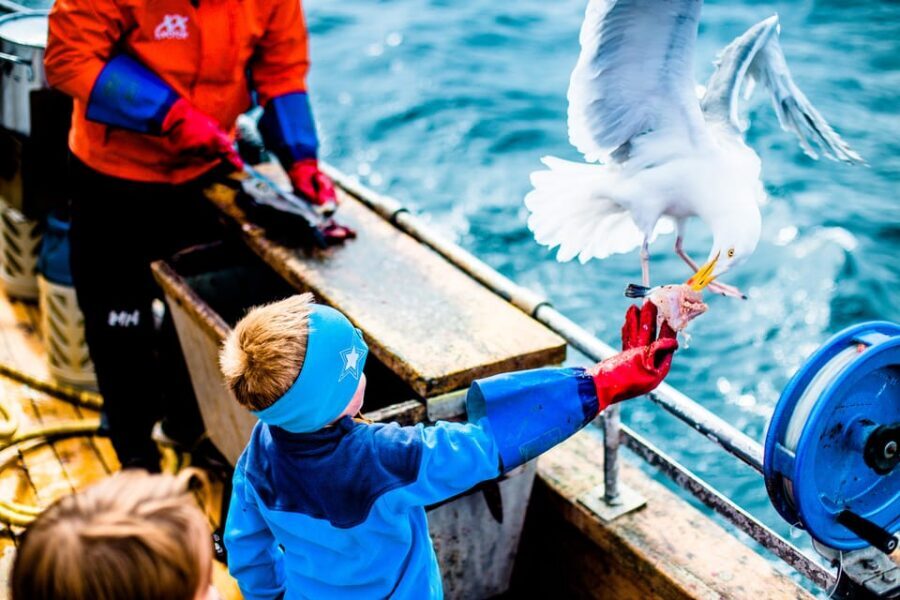 Lofoten: Traditional Fishing Trip - Boots, warm layers, and rain-or-shine reality on the water