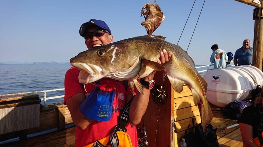 Lofoten: Traditional Fishing Trip - Who this traditional Lofoten fishing trip is best for
