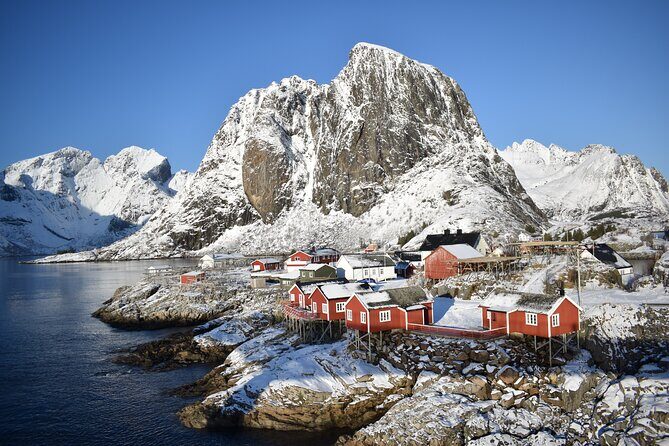 Lofoten VIP PRIVATE Tour from Leknes city / port - How This VIP Lofoten Tour Feels Different From a Bus Day
