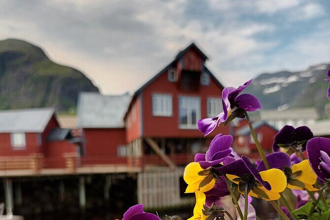 Lofoten VIP PRIVATE Tour from Leknes city / port - Entering The Lofoten Route: The 6-Hour Plan From Leknes
