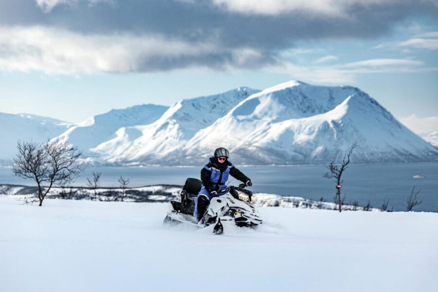 Lyngen: Snowmobile Safari with Lunch in seaside Restaurant - Key highlights you’ll actually feel during the tour