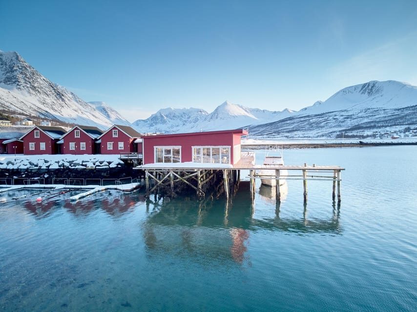 Lyngen: Snowmobile Safari with Lunch in seaside Restaurant - The arctic fishing village stop: what you see connects to how people live
