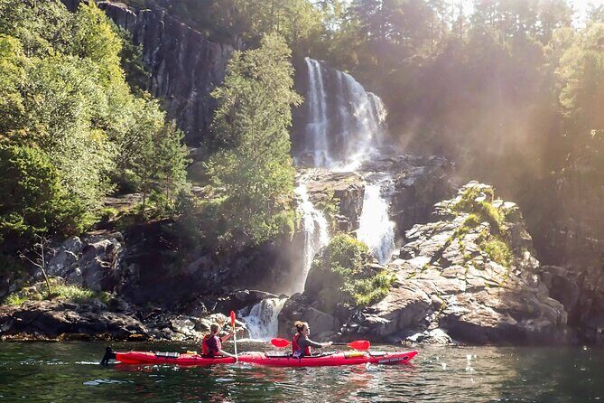 Lysefjord Kayak Safari - Price and logistics: what $203.07 buys you