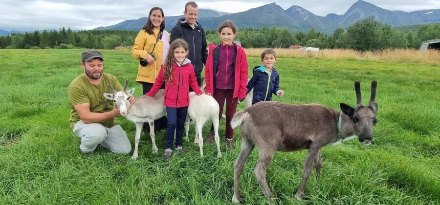 Malangen Sami Camp and Reindeer Experience with Lunch - Key things to know before you go