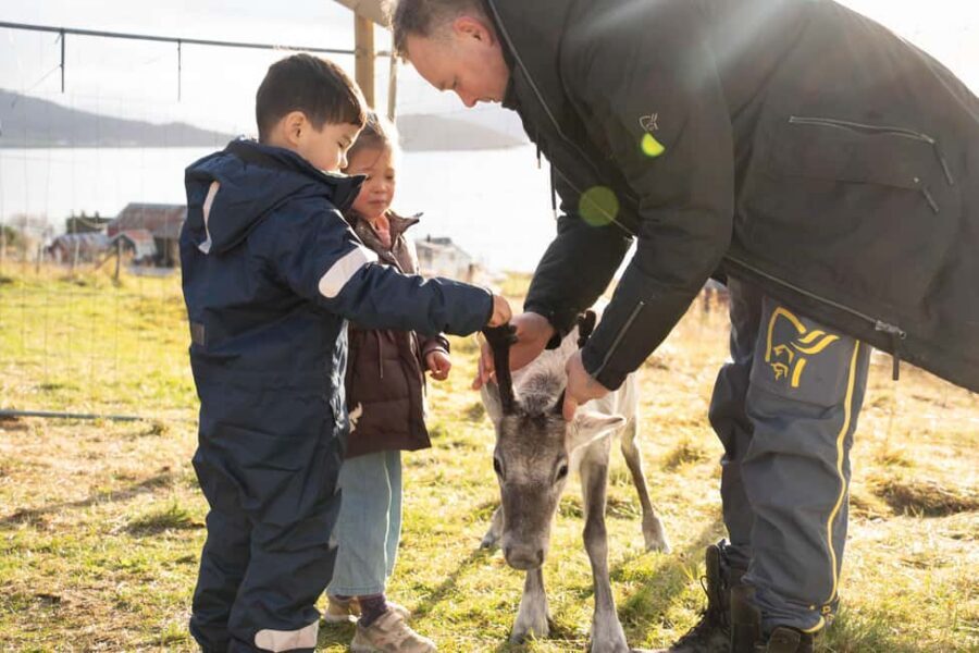 Malangen Sami Camp and Reindeer Experience with Lunch - Price and value: what $173 buys you in real terms