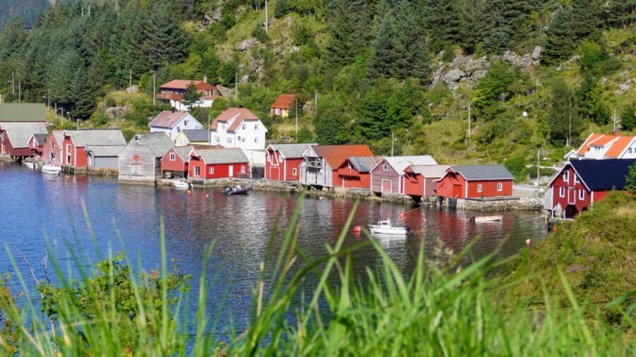 Måløy: Electric Minibus Tour to Kannesteinen - The ride: Måløy Tours, a small group, and a quiet electric minibus