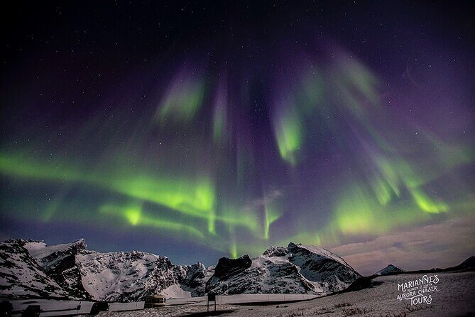 Marianne’s Heaven On Earth Aurora Chaser Tours - How long you’re out: planning for a 6 to 10 hour night